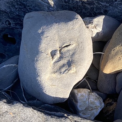 Midissage: But who builds in stone 